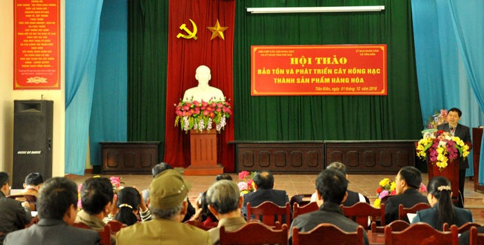 Hội thảo “Bảo tồn và phát triển cây hồng Hạc thành sản phẩm hàng hóa”